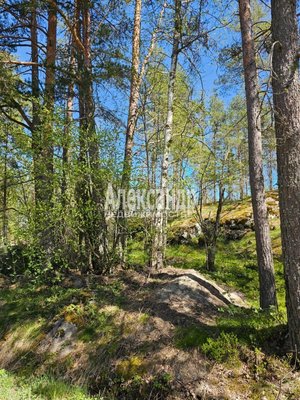 Купить  дом