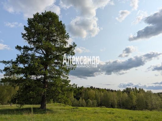 Купить  участок