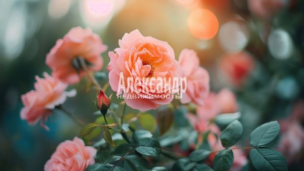 Купить  участок