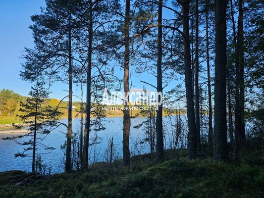 Купить  участок