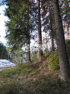 Купить  дом